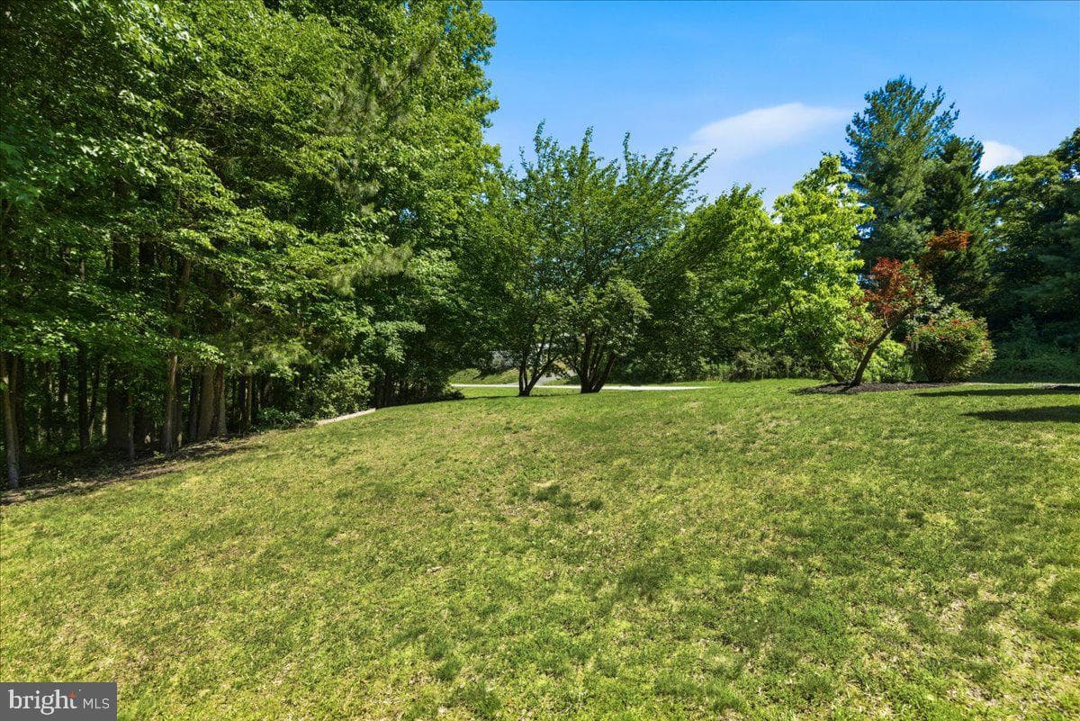 2424 Springbrook Court photo 91