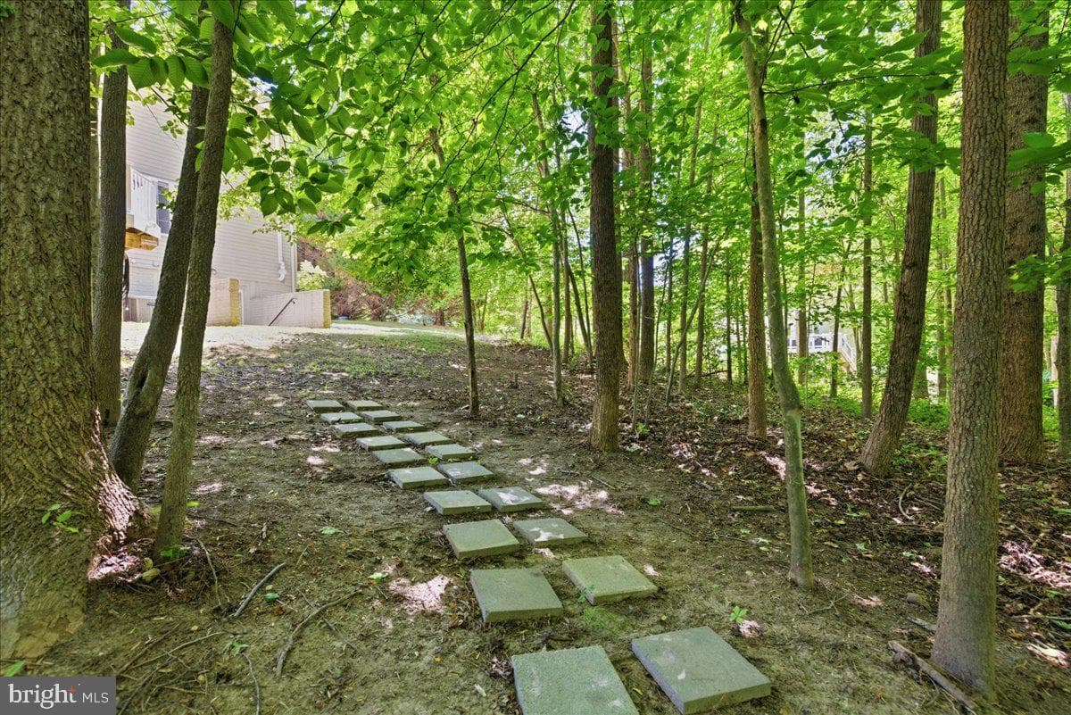 2424 Springbrook Court photo 96
