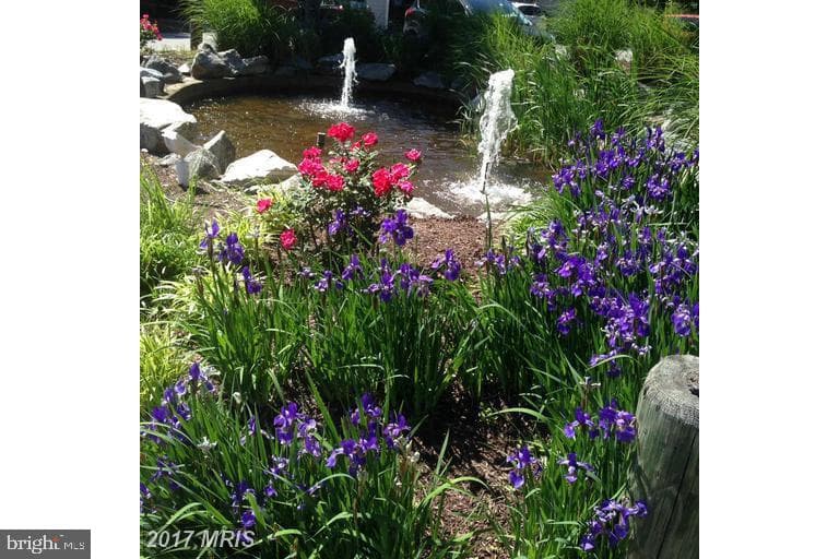 902 Spinnaker Way #902 photo 6