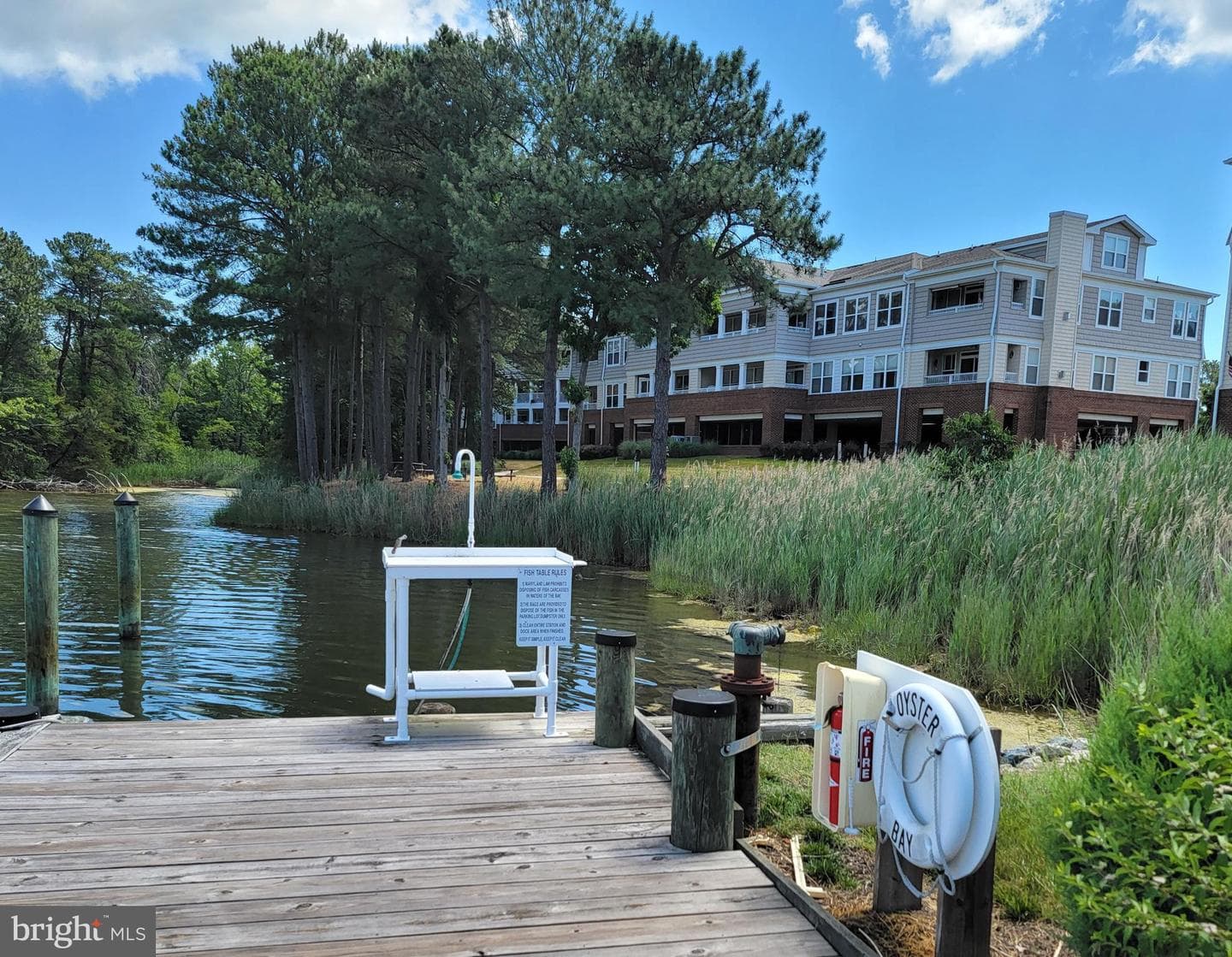210 Oyster Bay Place #c2 photo 67