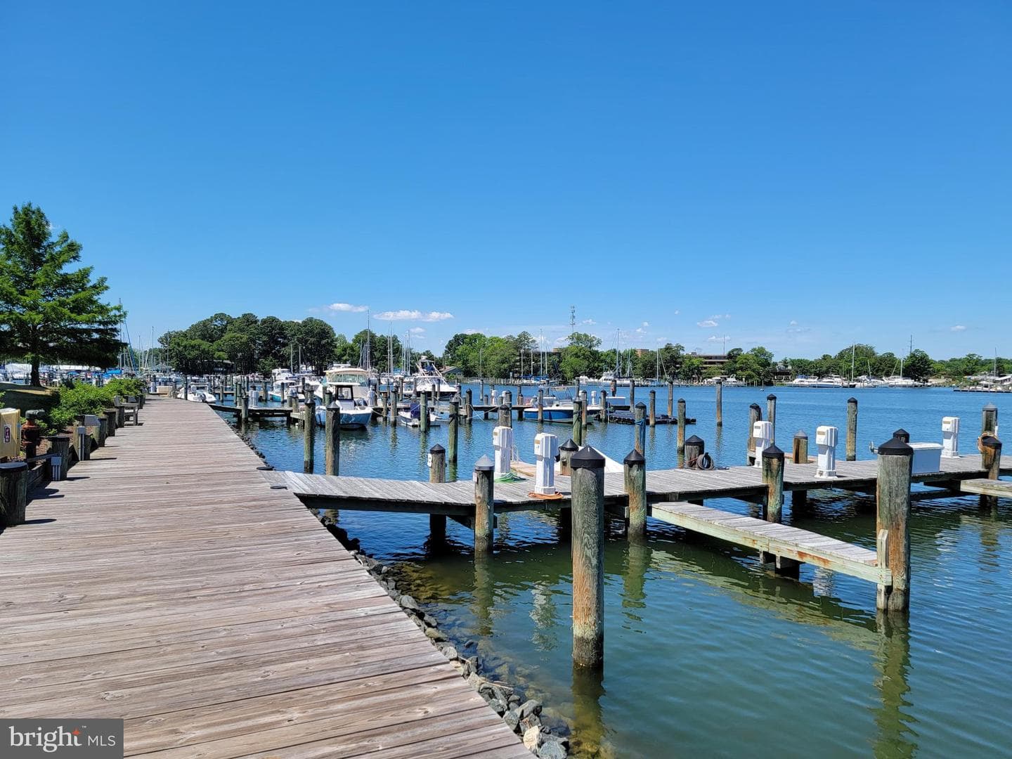 210 Oyster Bay Place #c2 photo 79