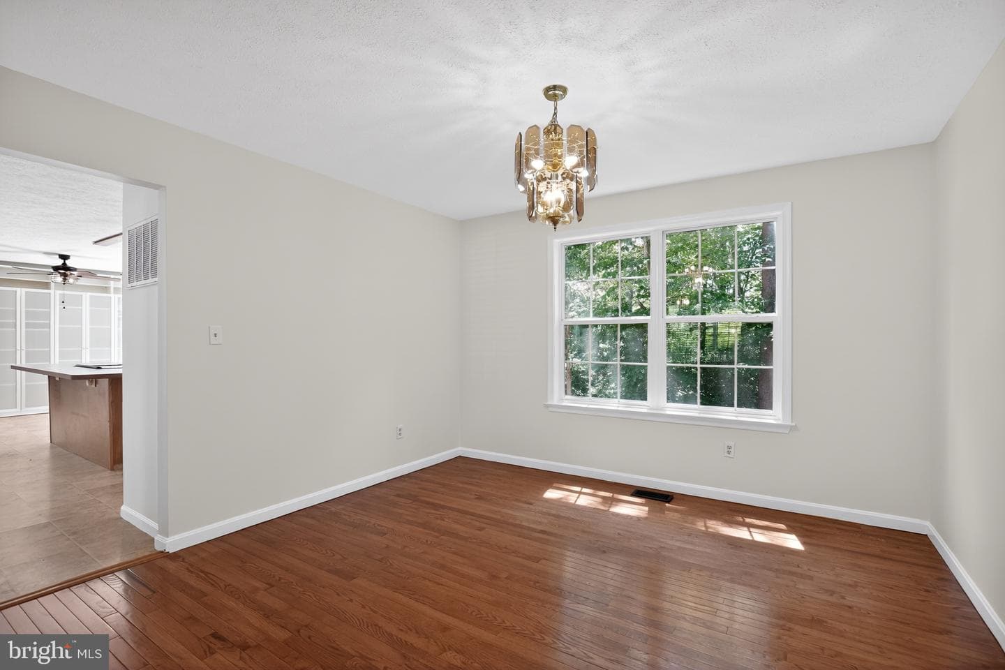 12557 Catalina Drive photo 7