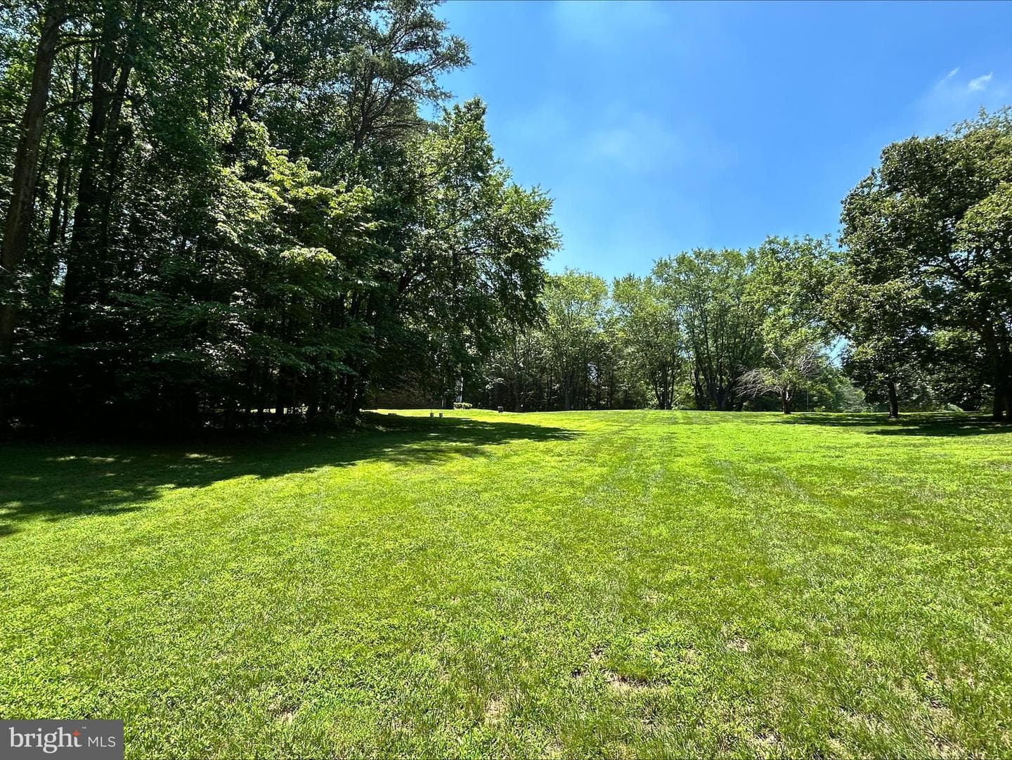 1531 Sunrise Court photo 42