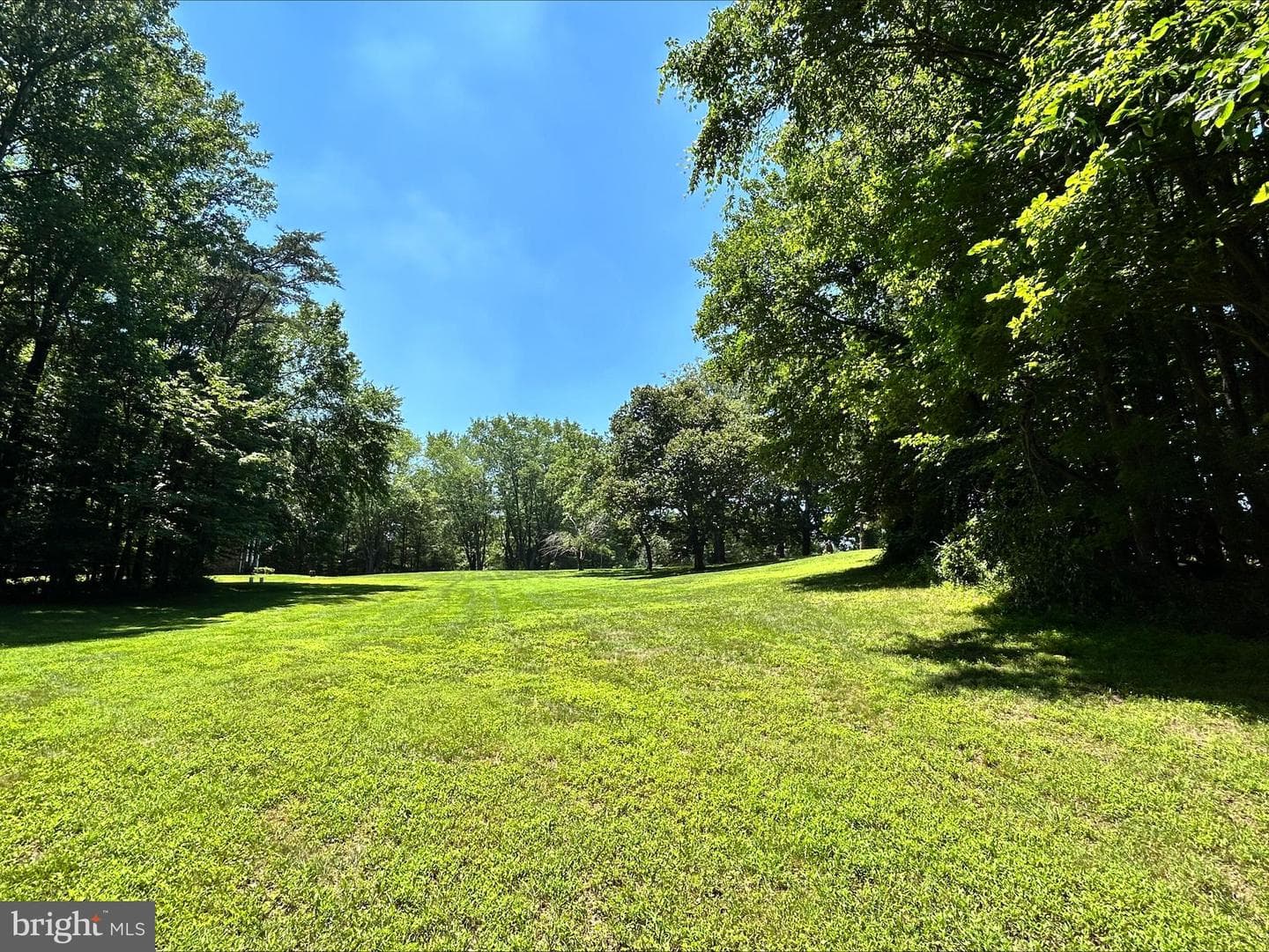 1531 Sunrise Court photo 45