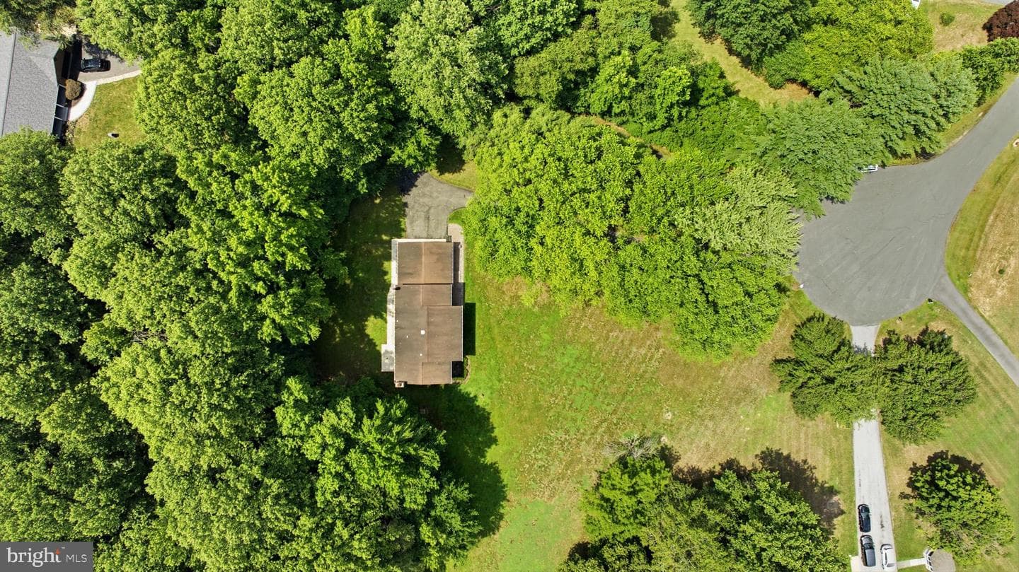1531 Sunrise Court photo 6