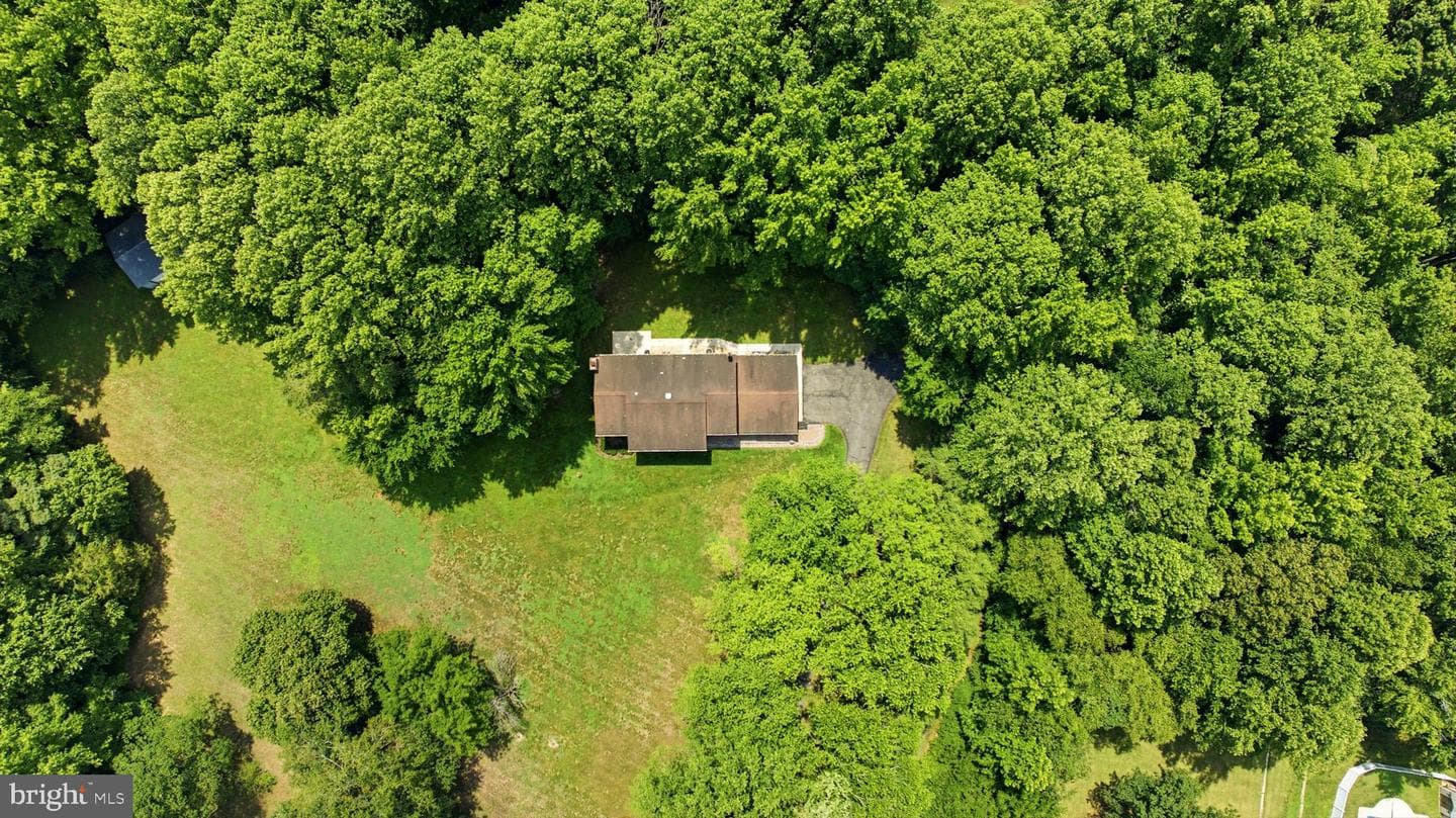 1531 Sunrise Court photo 7