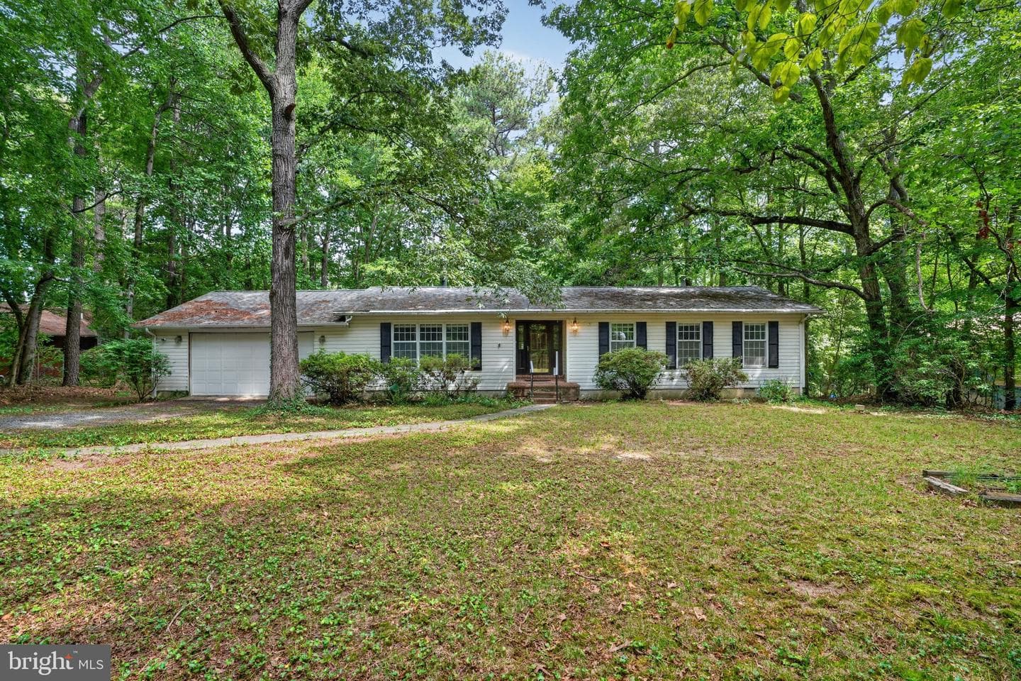262 Elkins Lane photo 3