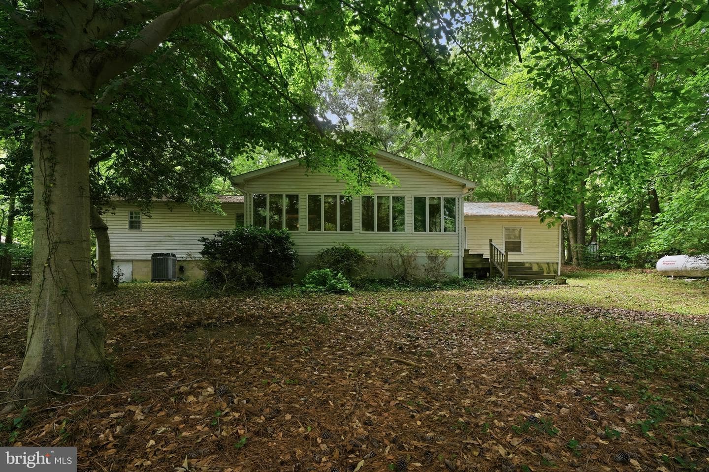 262 Elkins Lane photo 39