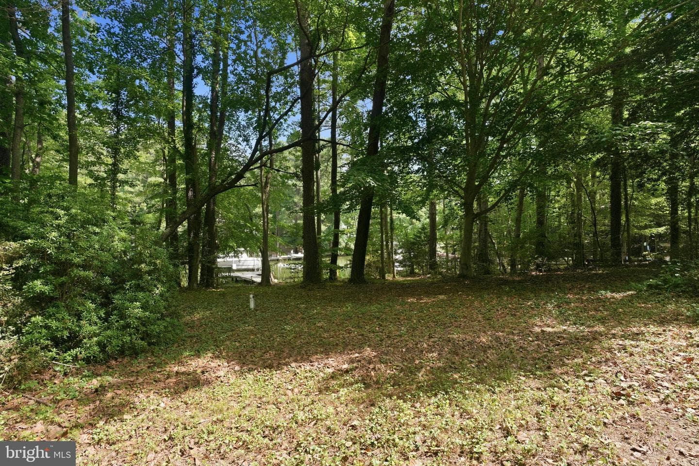 262 Elkins Lane photo 48