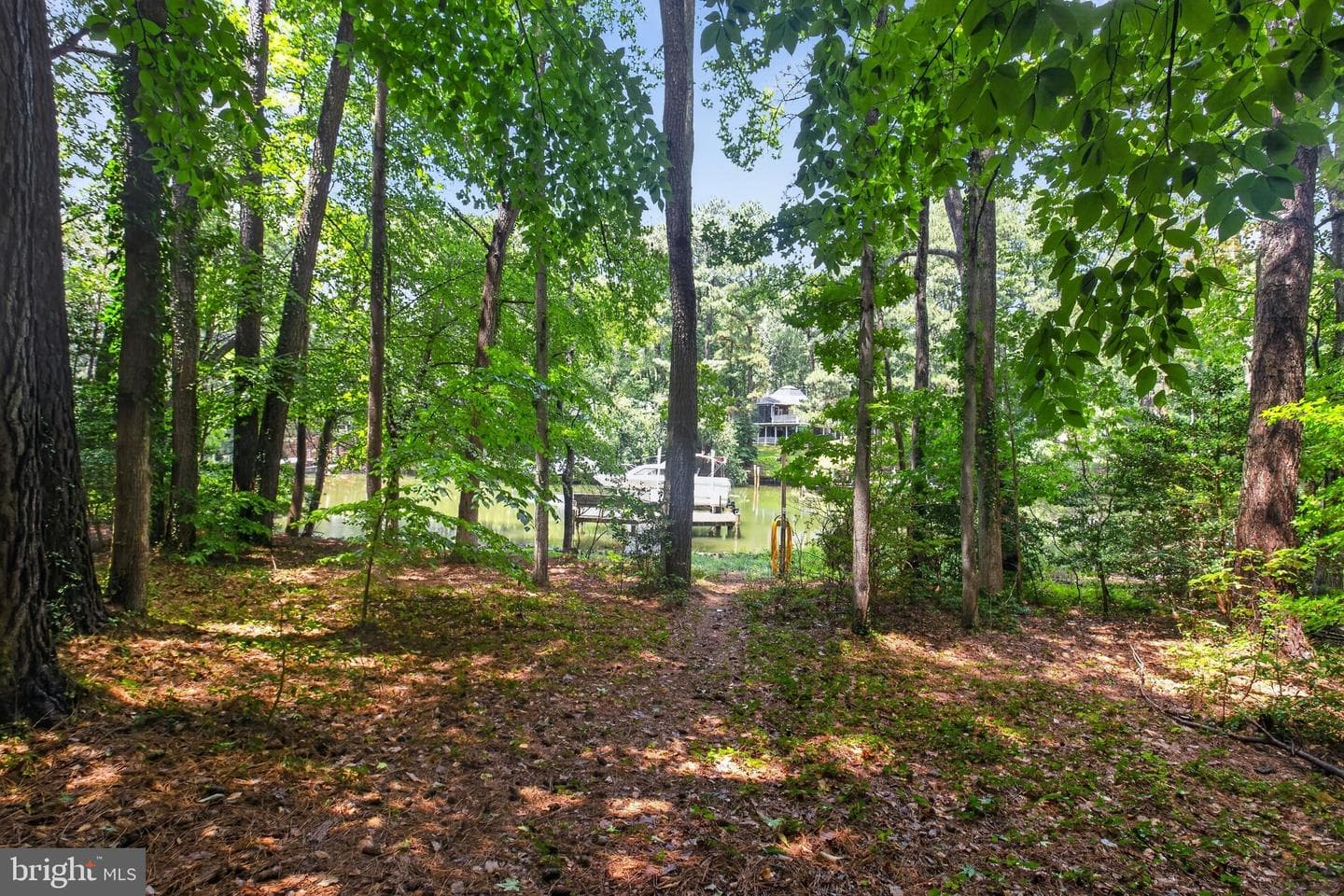 262 Elkins Lane photo 50