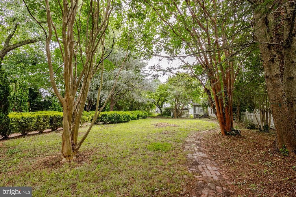 8115 Broomes Island Road photo 9