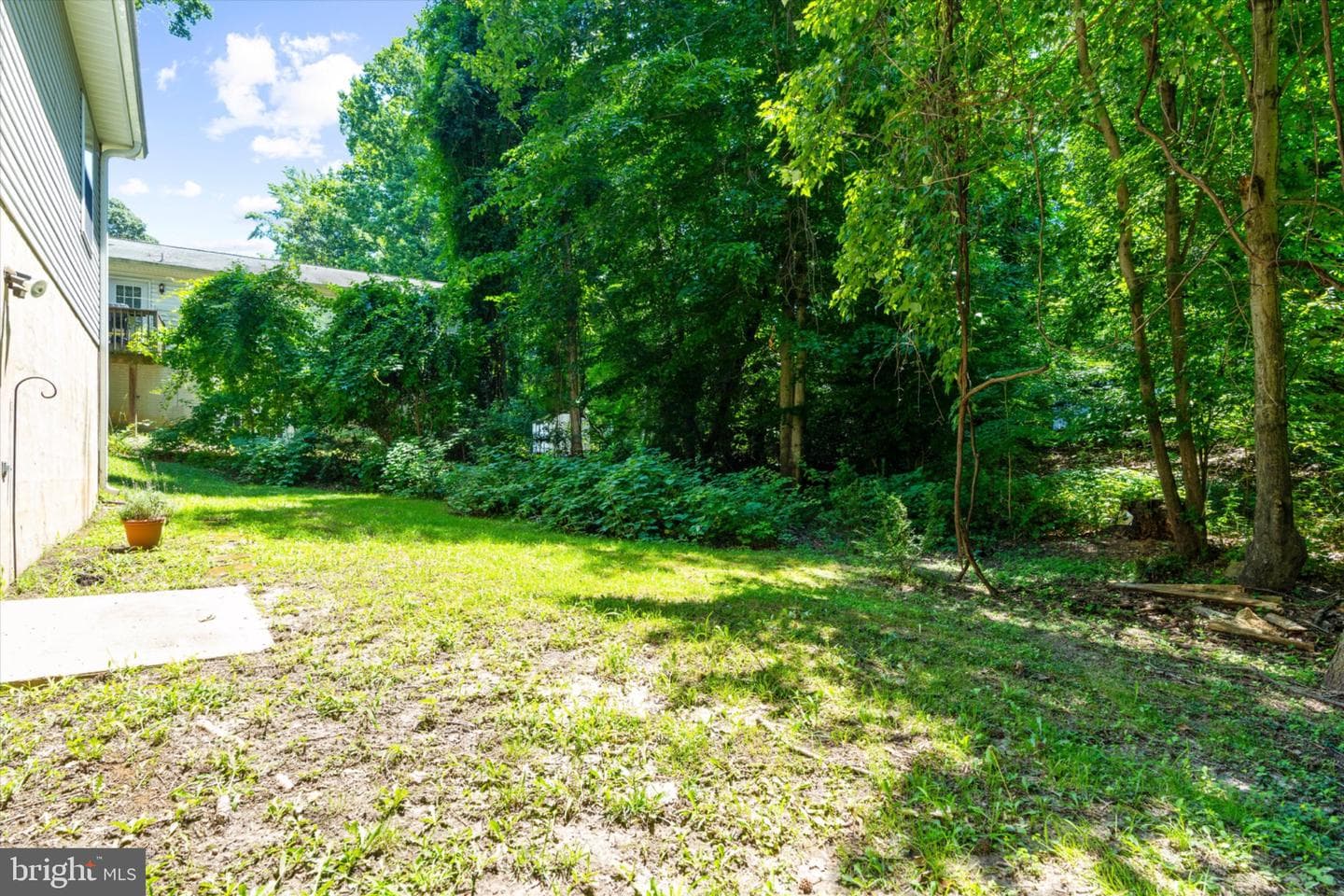 11500 Big Sandy Run Road photo 41