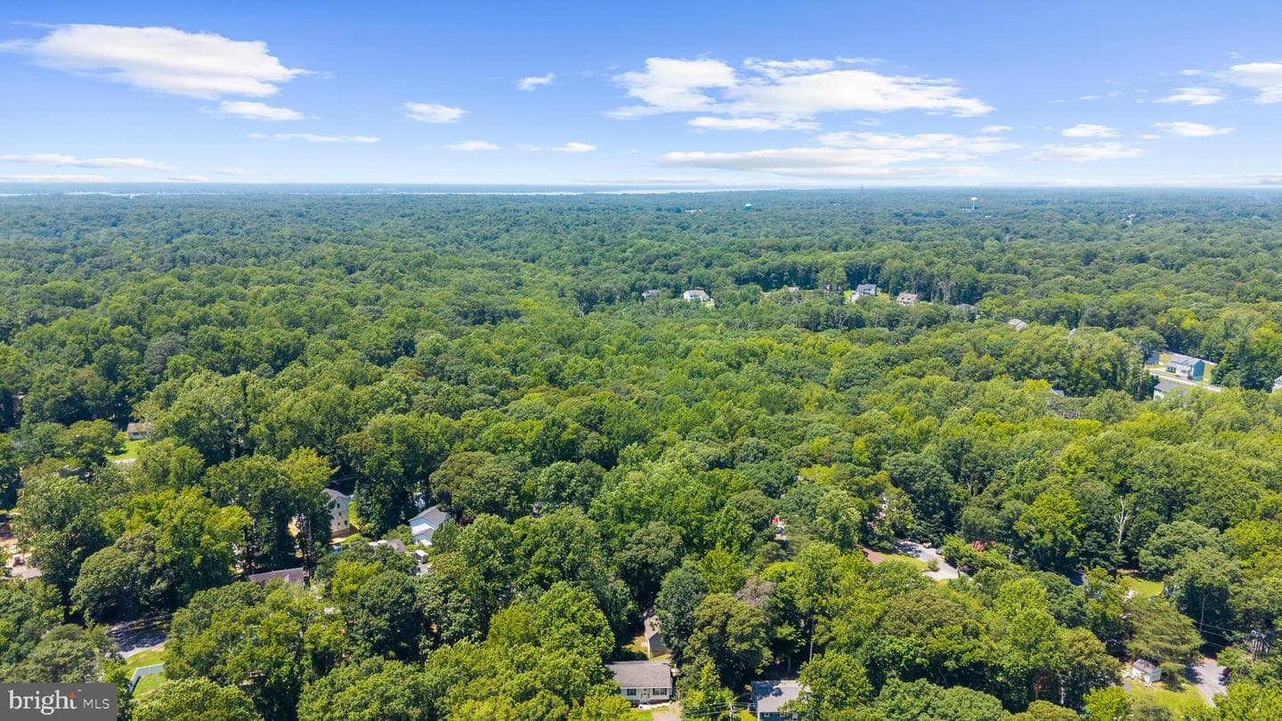 11500 Big Sandy Run Road photo 51
