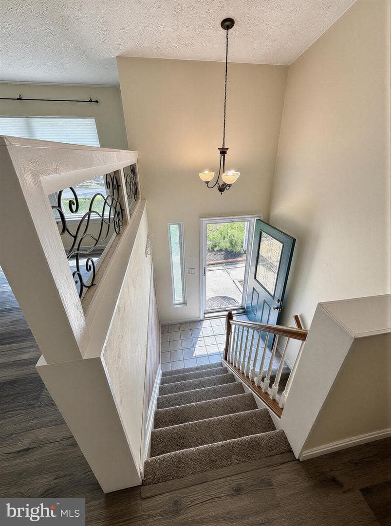 11511 Ventura Trail photo 17