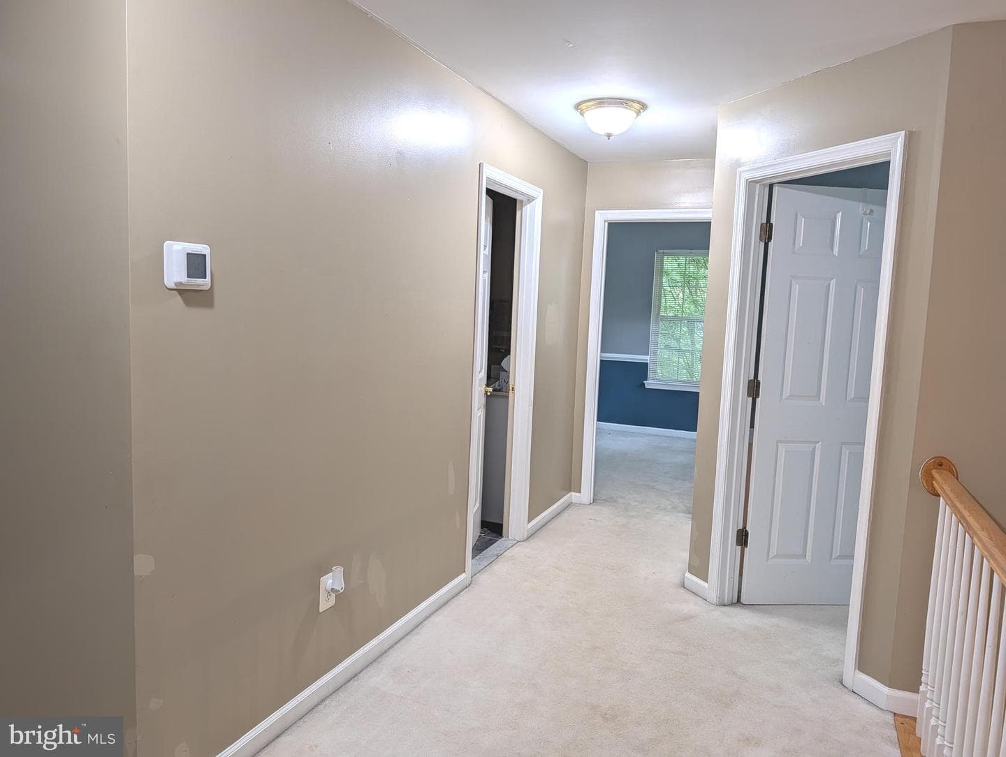 2440 Abigail Court photo 47