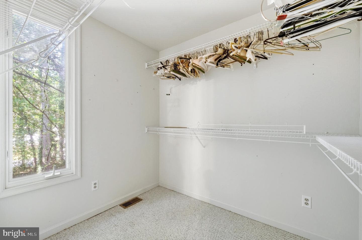 13181 River View Drive photo 29