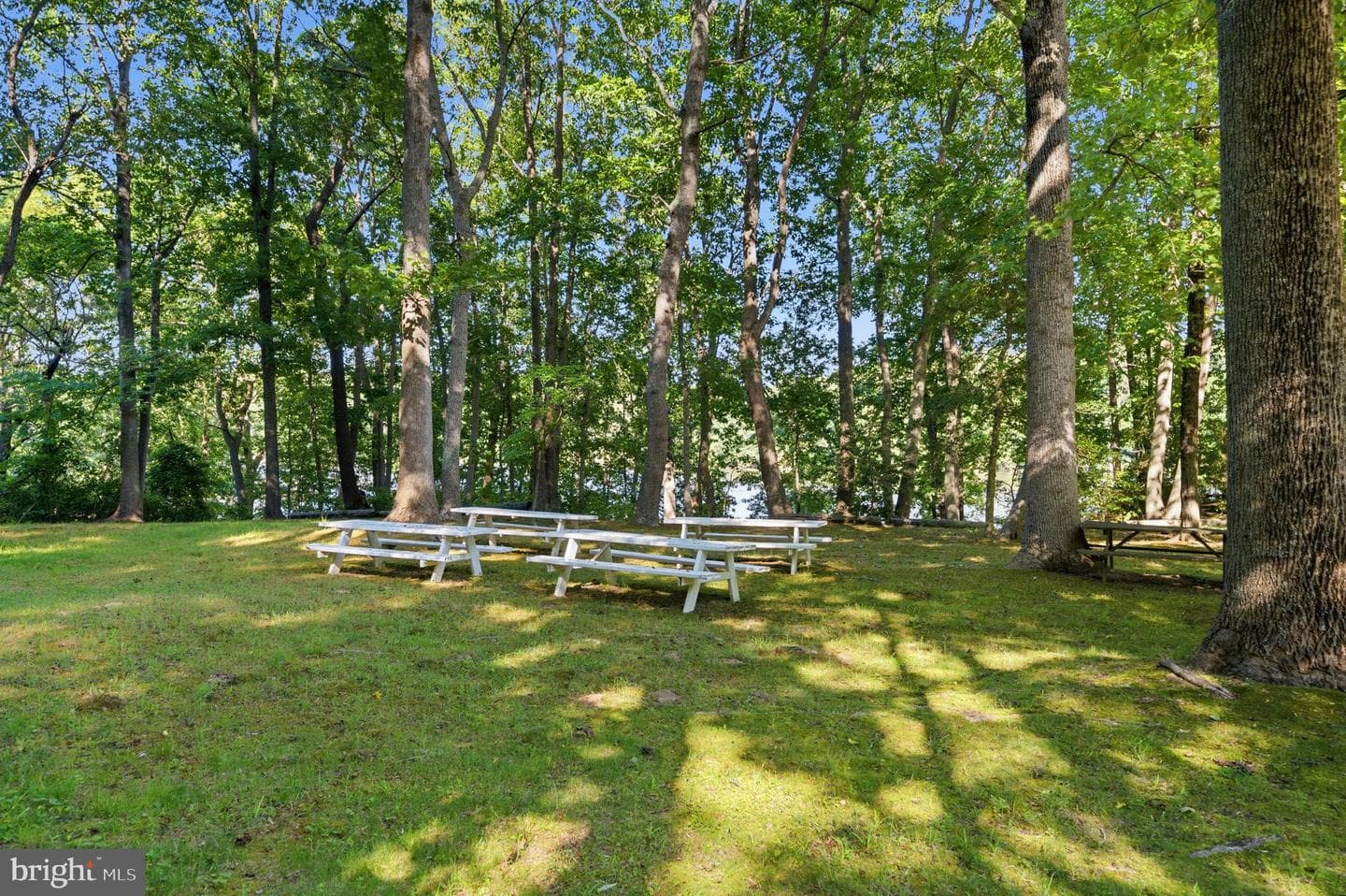 7440 Sedwick Court photo 99