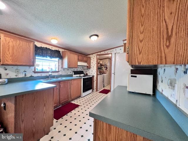 6 Raven Court photo 12