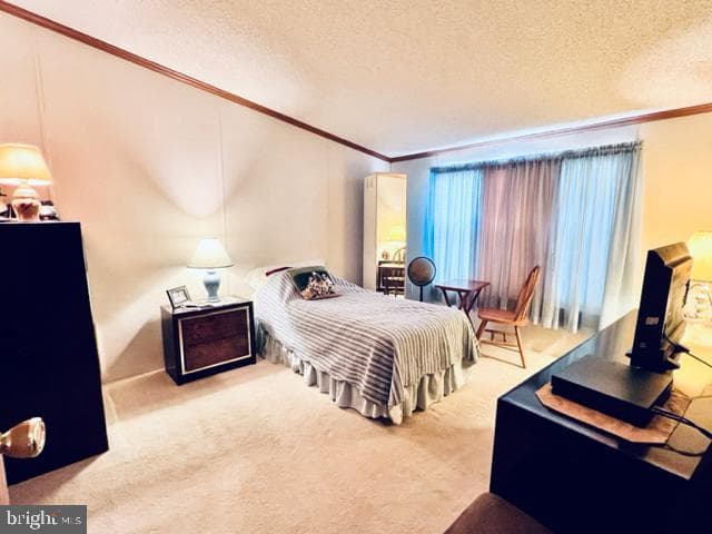 6 Raven Court photo 15