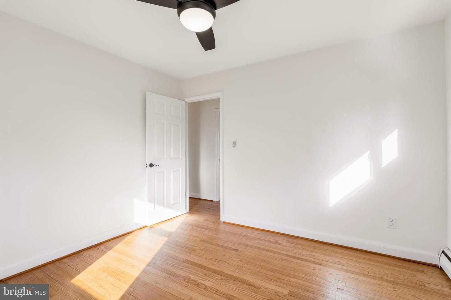 404 Pearl Street photo 15