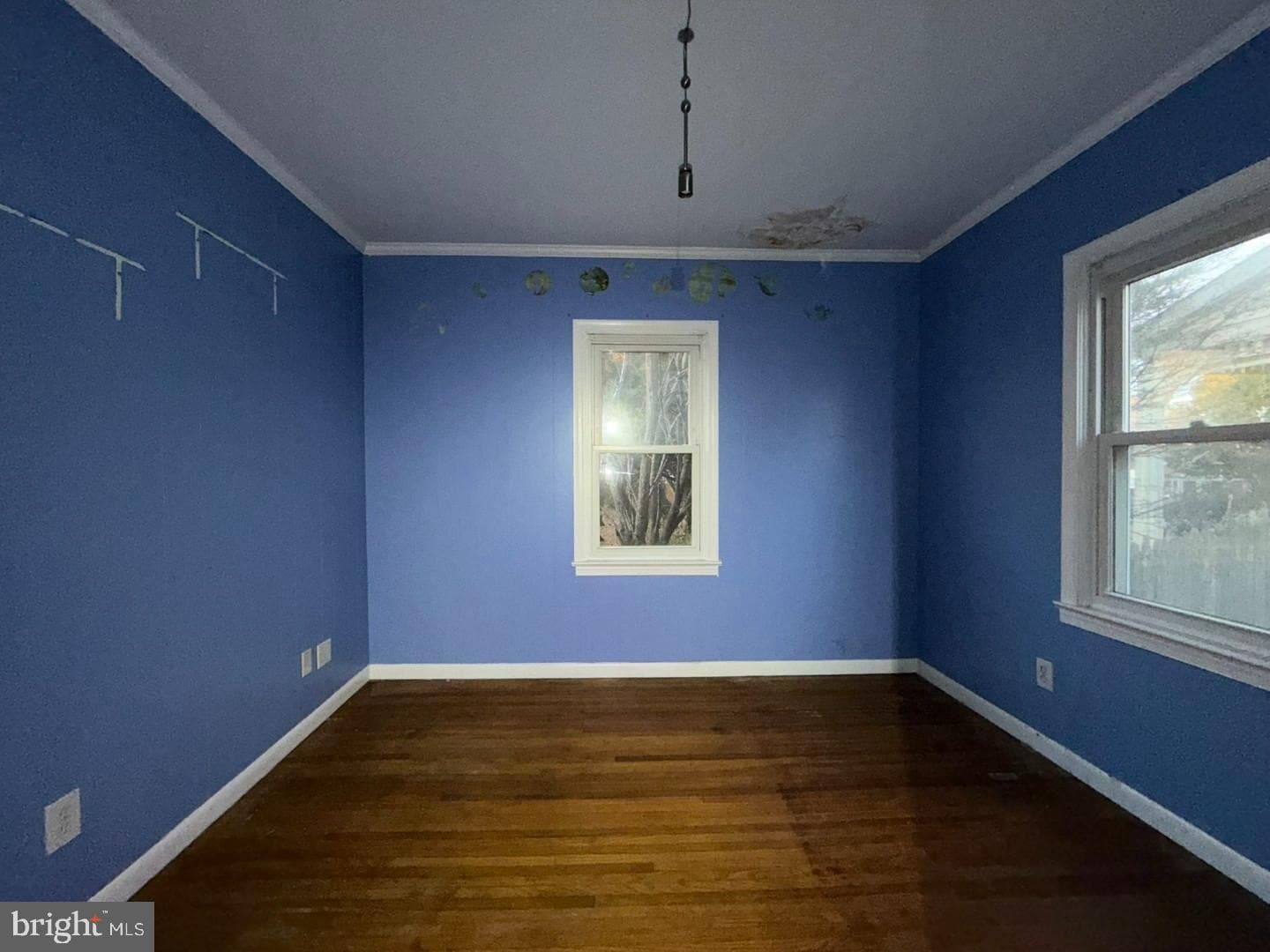 27 Haines Avenue photo 10