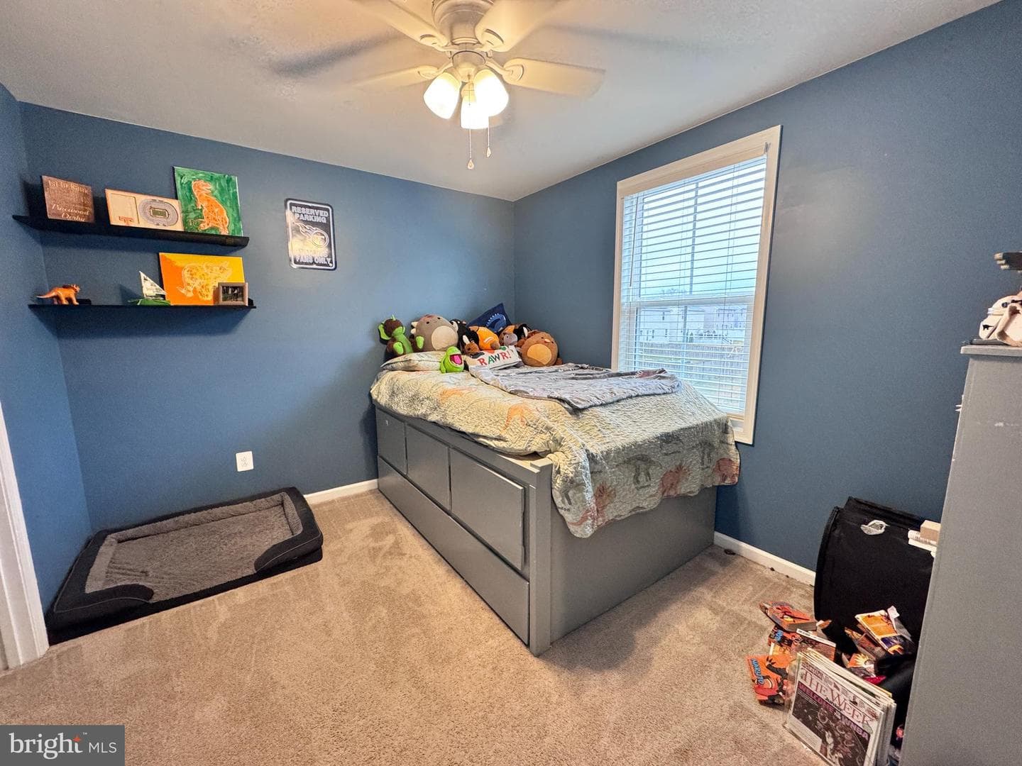 41 Tilia Drive photo 23