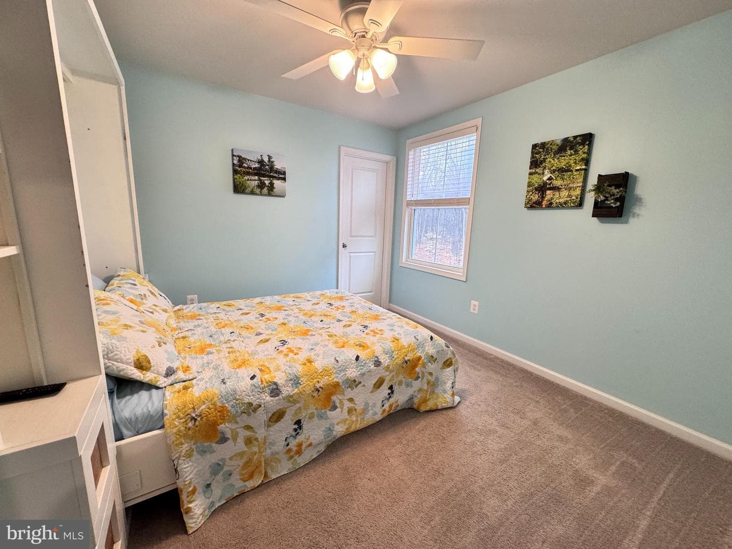 41 Tilia Drive photo 27