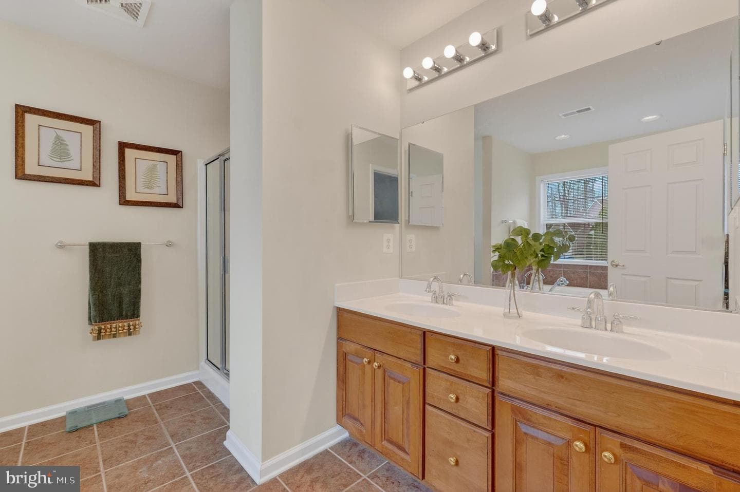 169 Thomas Jefferson Terrace photo 44