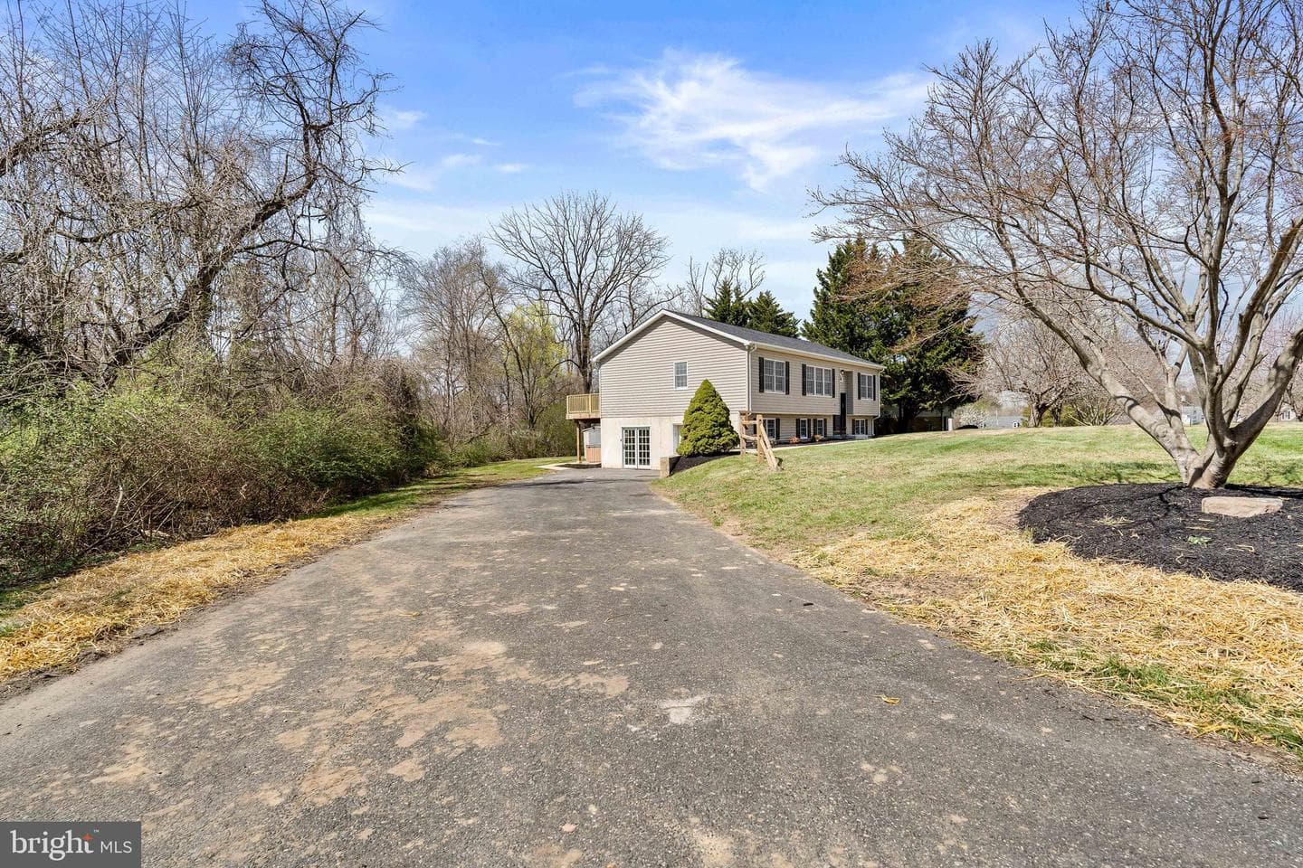 114 Creswell Avenue photo 5