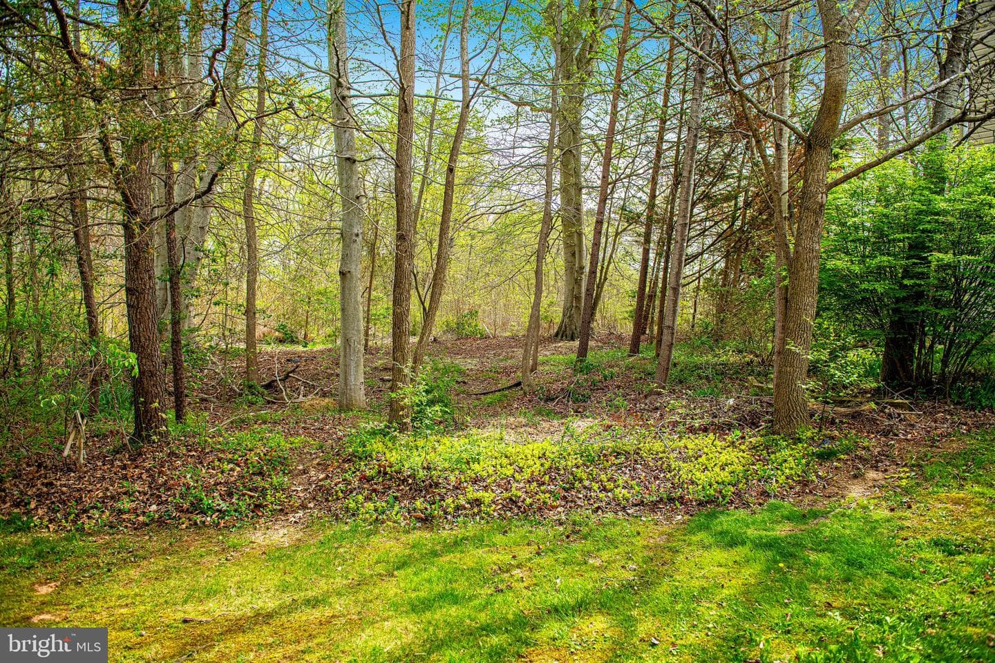 97 Ridge Run Road #28 photo 23