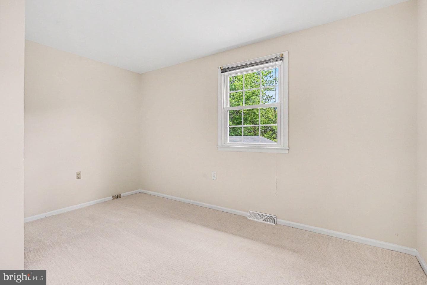 31 Filbert Lane photo 34