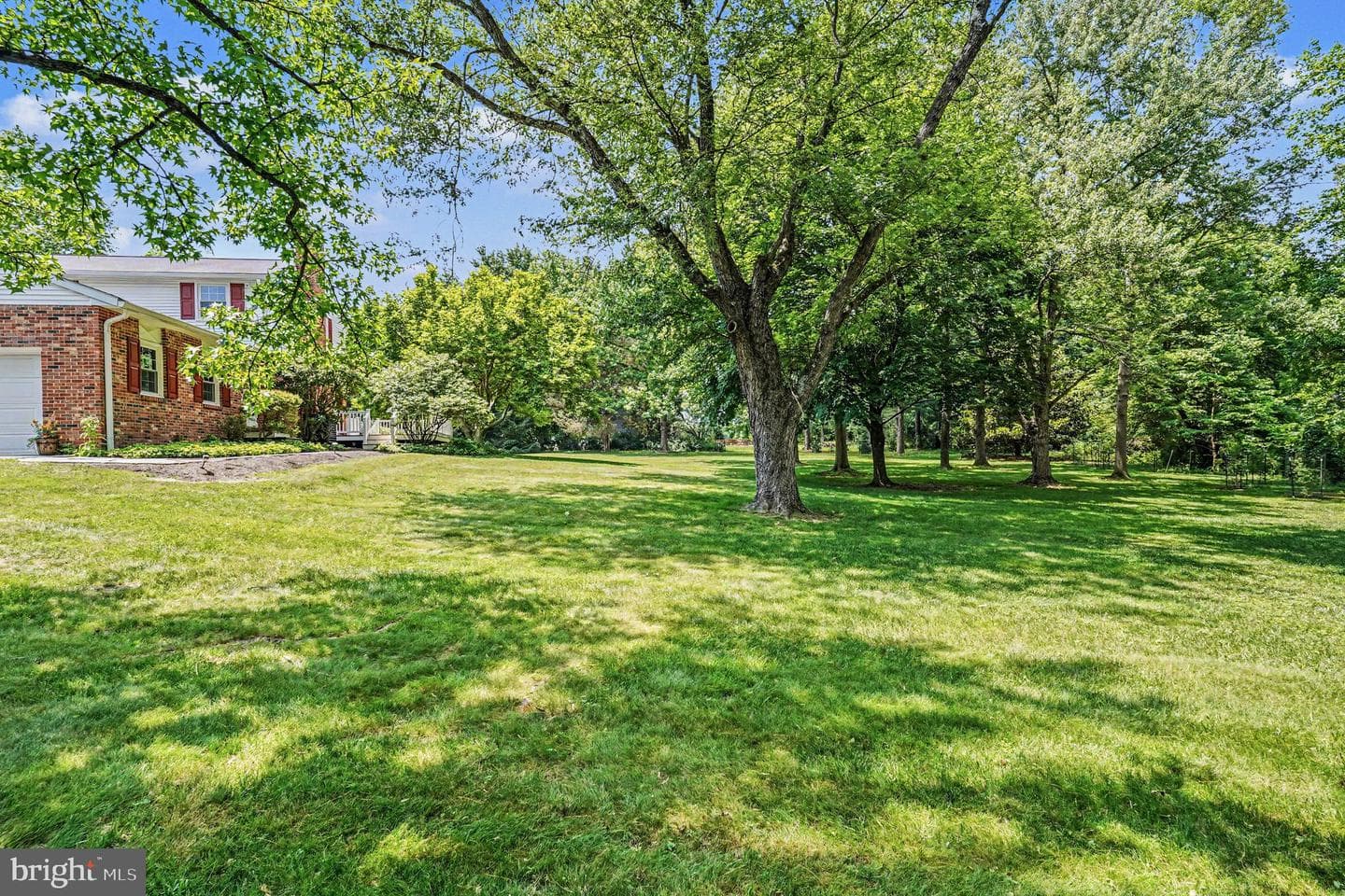 31 Filbert Lane photo 41