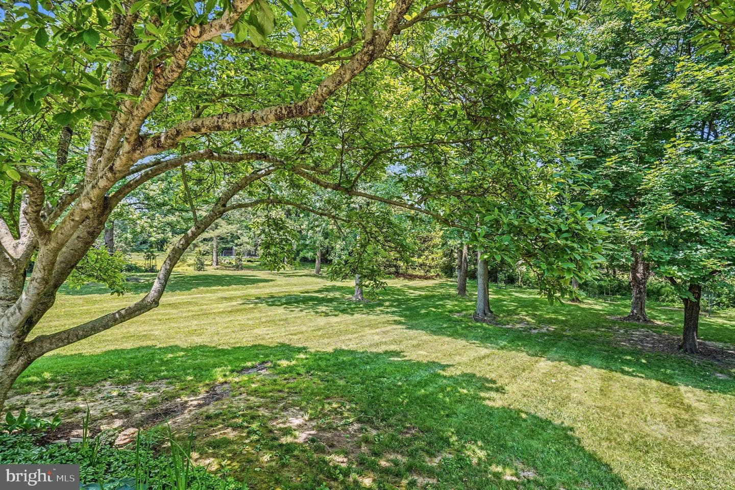 31 Filbert Lane photo 45