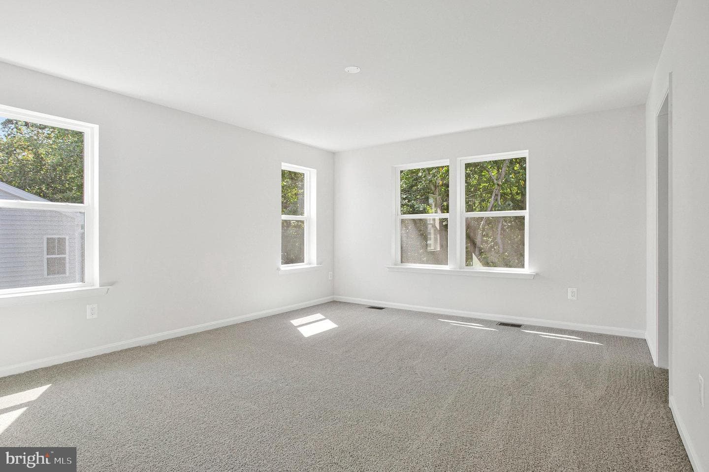 96 Catalpa Drive photo 23