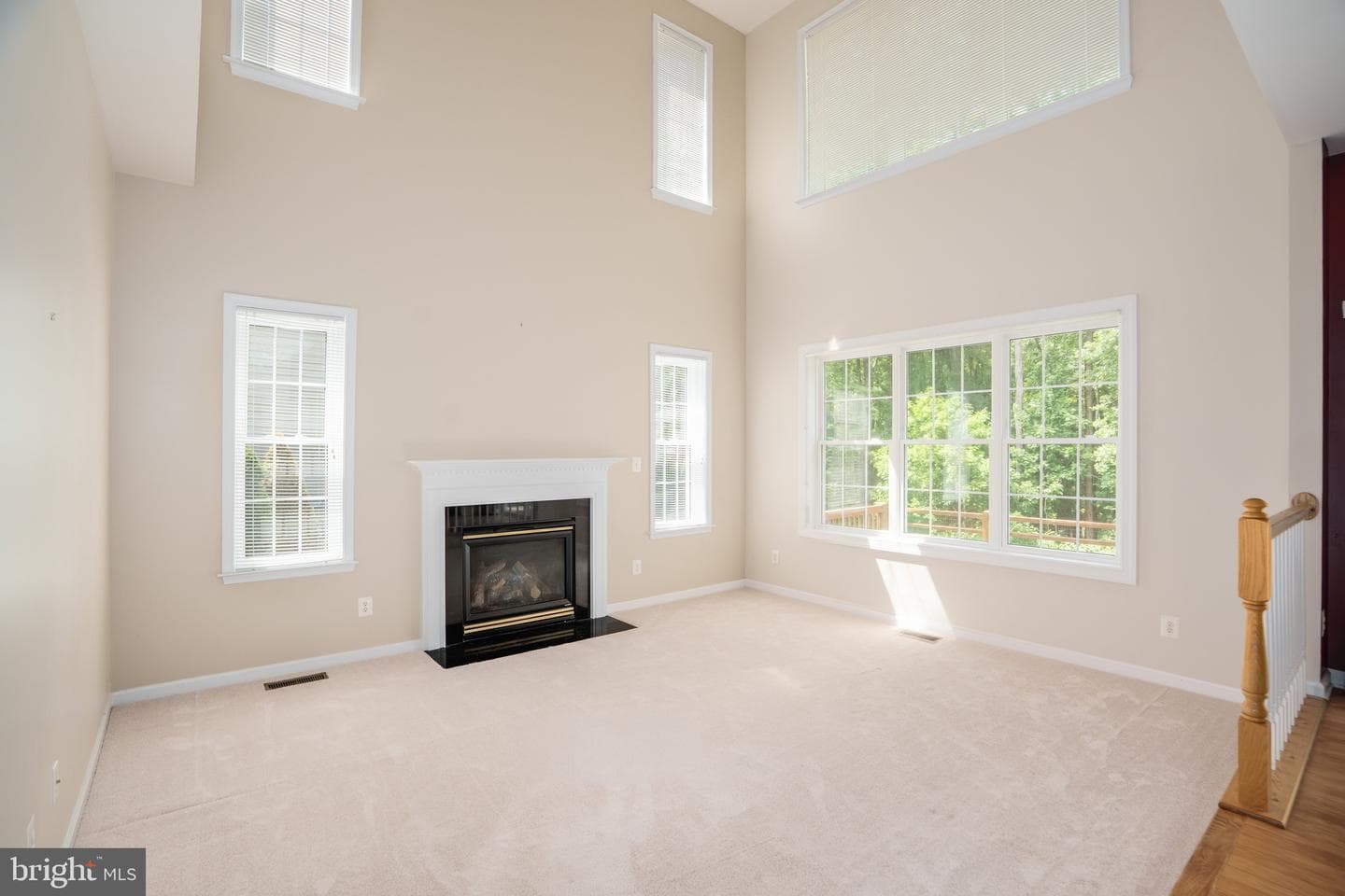132 Thomas Jefferson Terrace photo 9