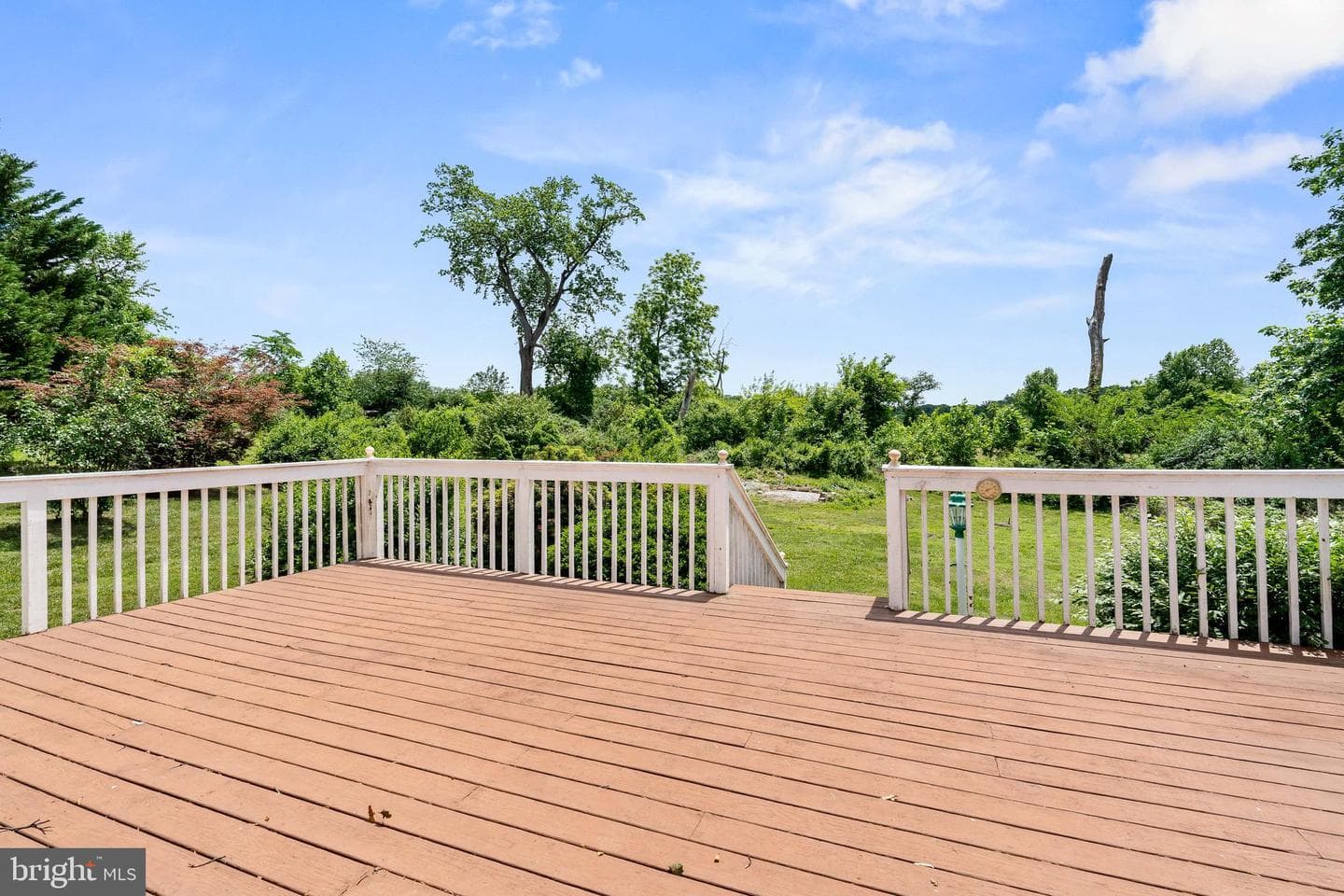 56 Woodlyn Road photo 23