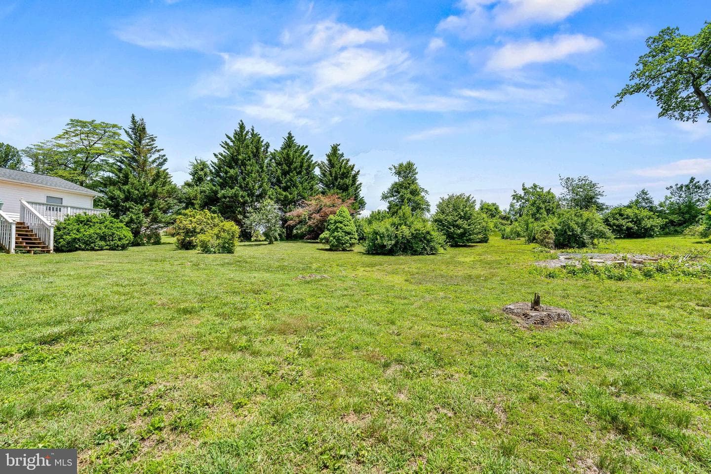 56 Woodlyn Road photo 5