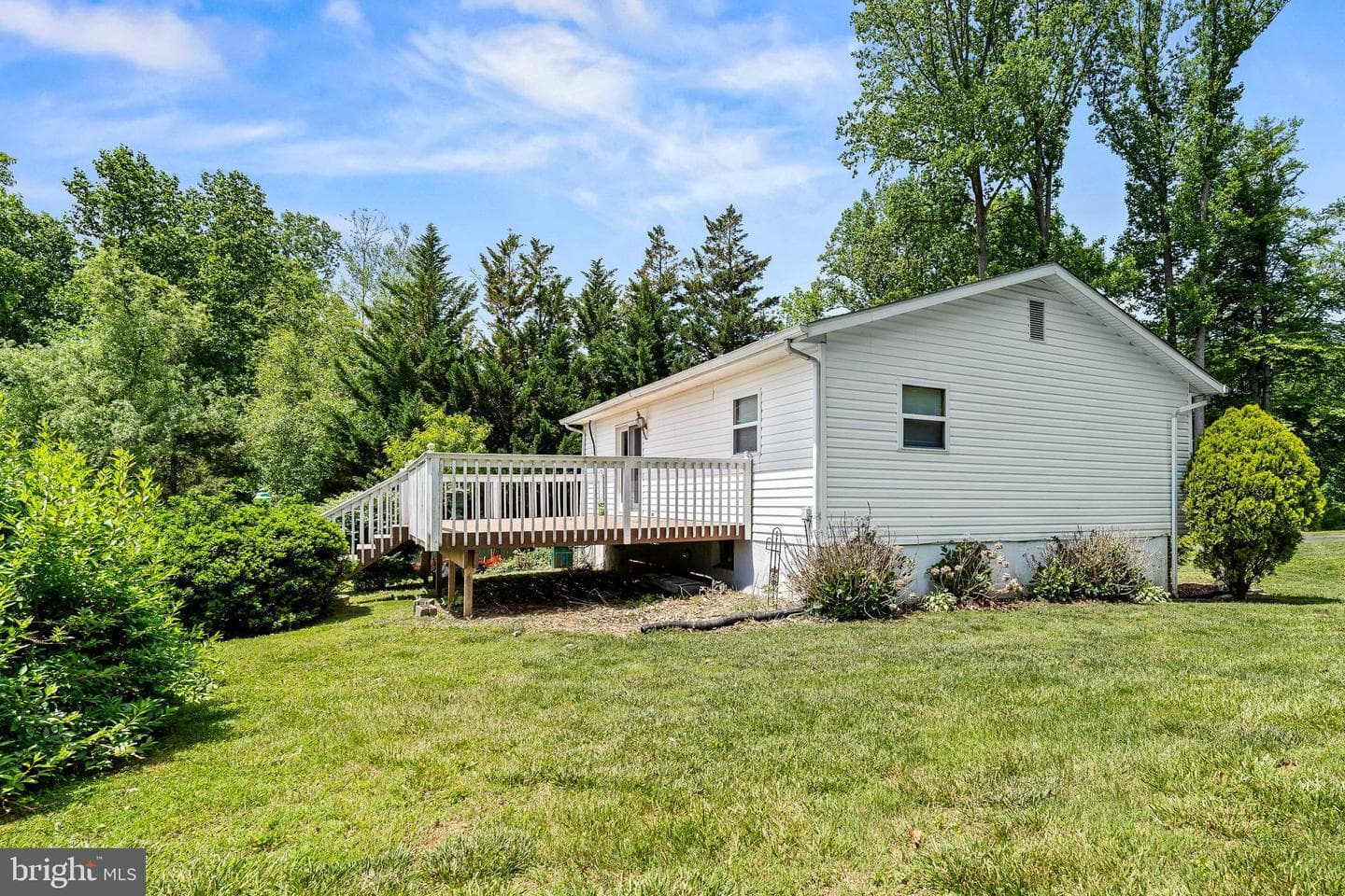 56 Woodlyn Road photo 7