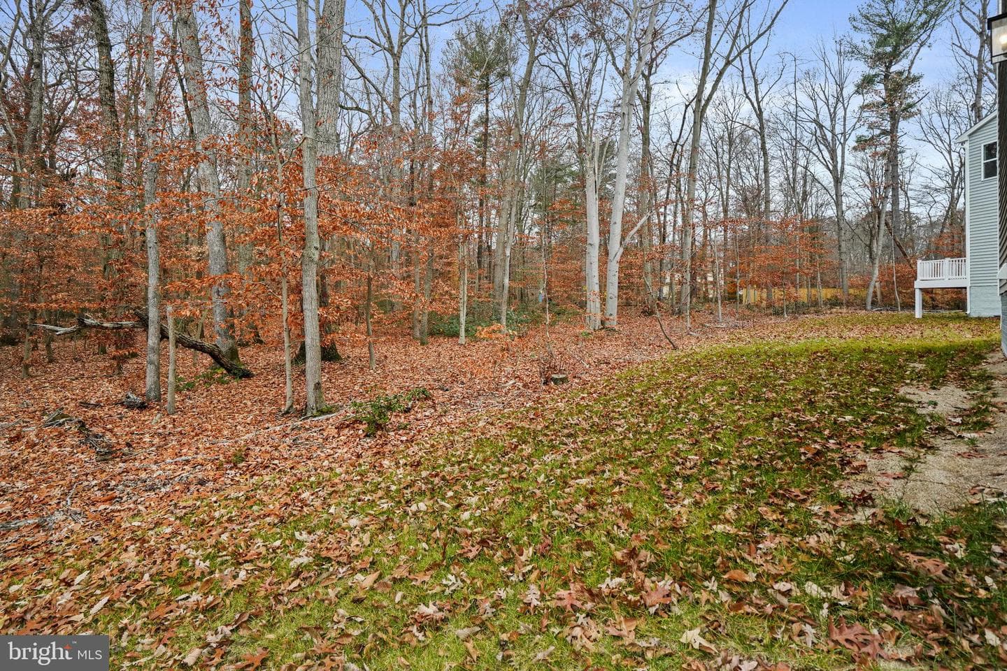 136 Catalpa Drive photo 39