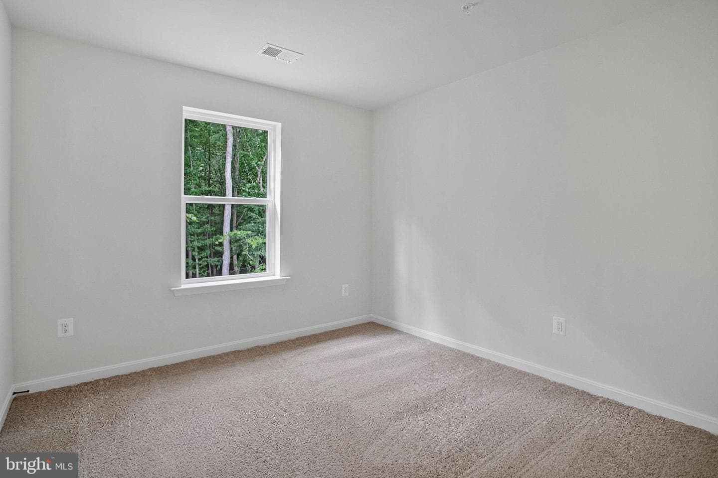 104 Catalpa Drive photo 25