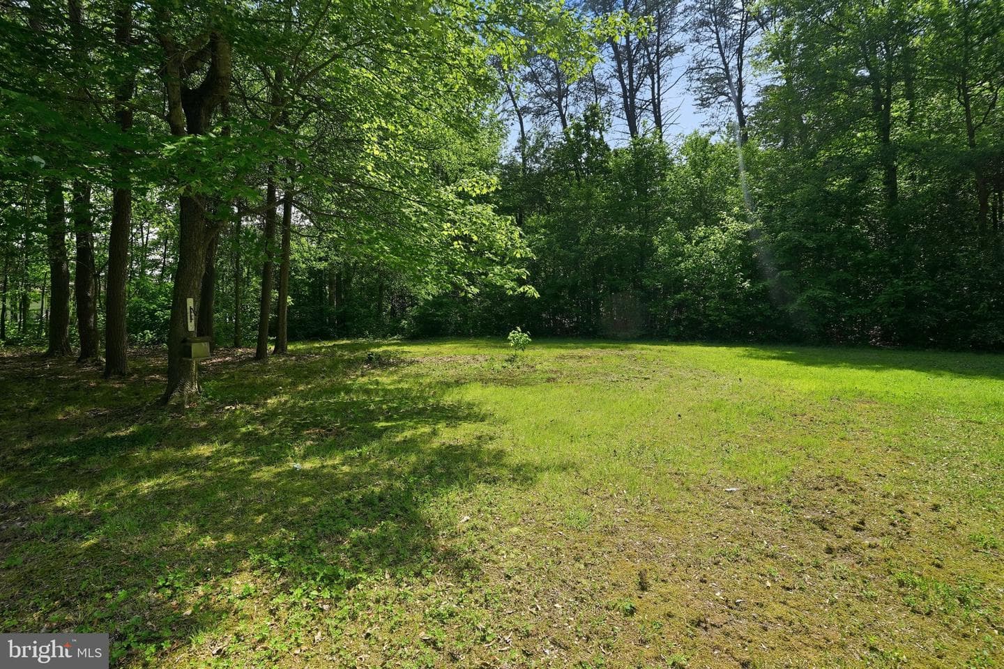 694 W Pulaski Highway photo 42