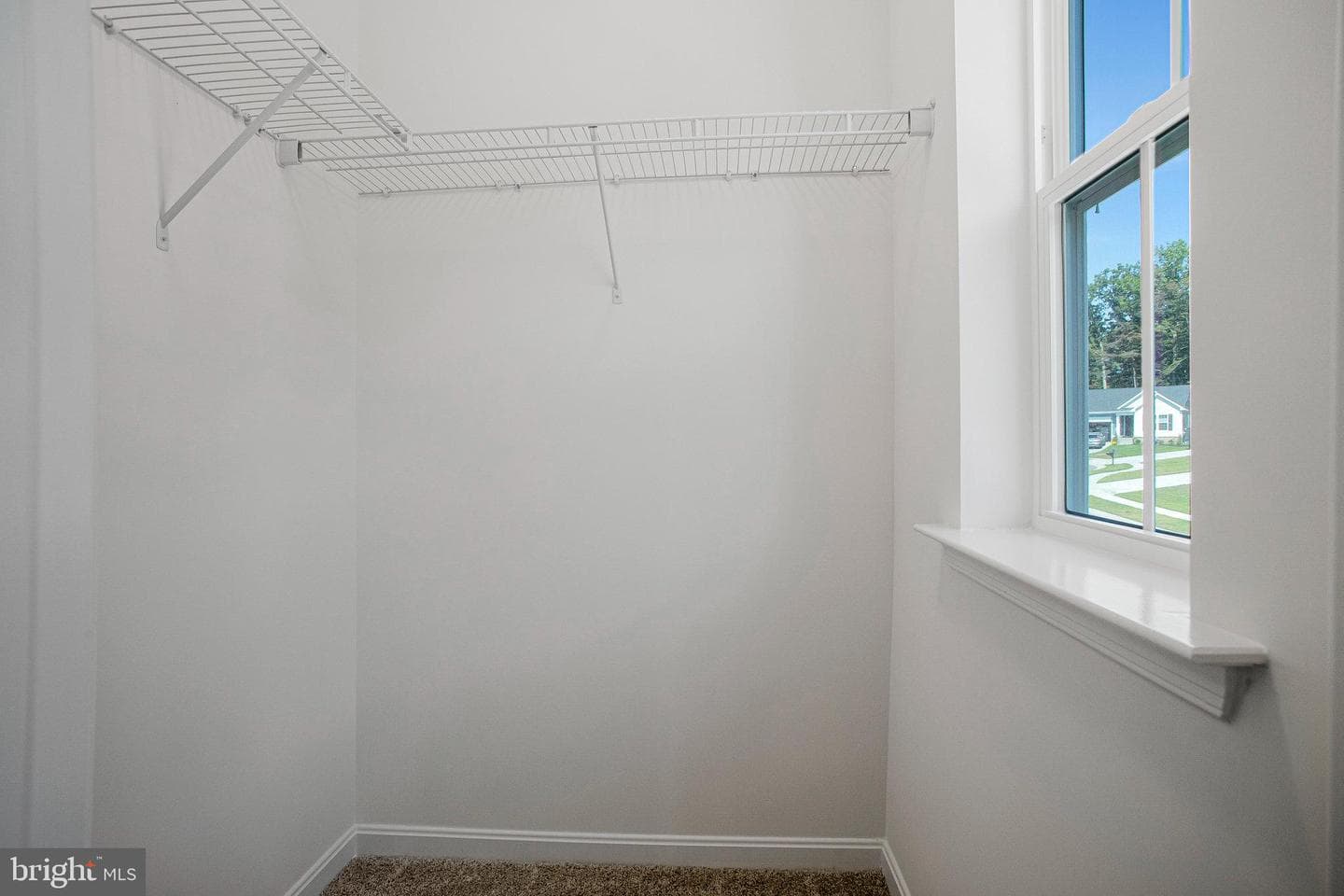 112 Catalpa Drive photo 19