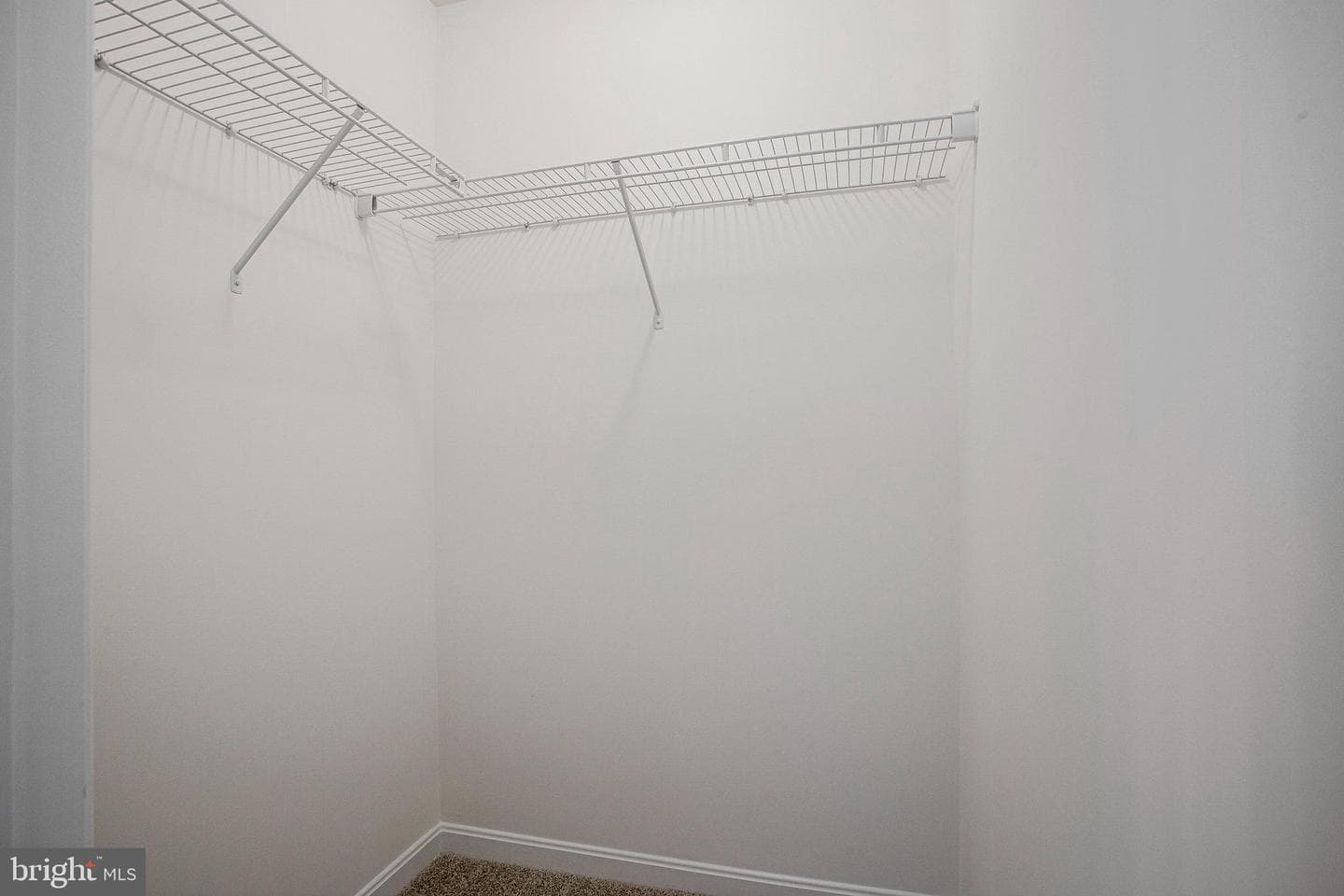 112 Catalpa Drive photo 22