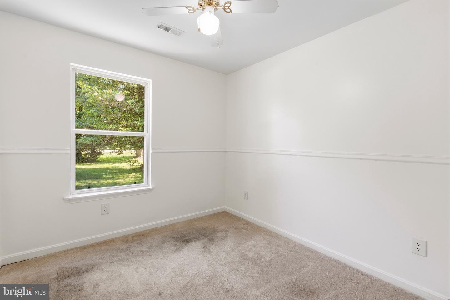 37 Clearview Avenue photo 11