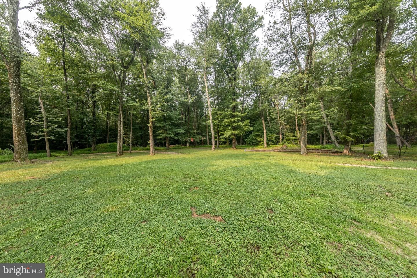839 Red Toad Road photo 39