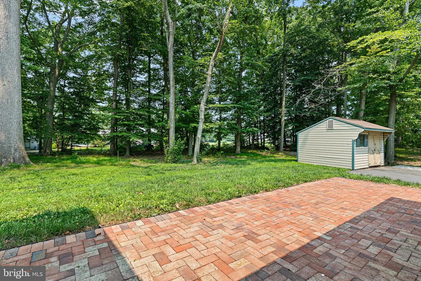 215 Calvert Road photo 6