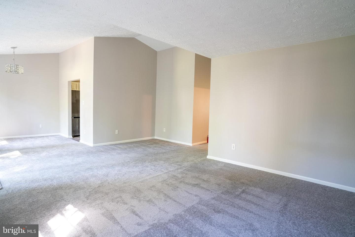 3539 Smokethorn Court photo 16