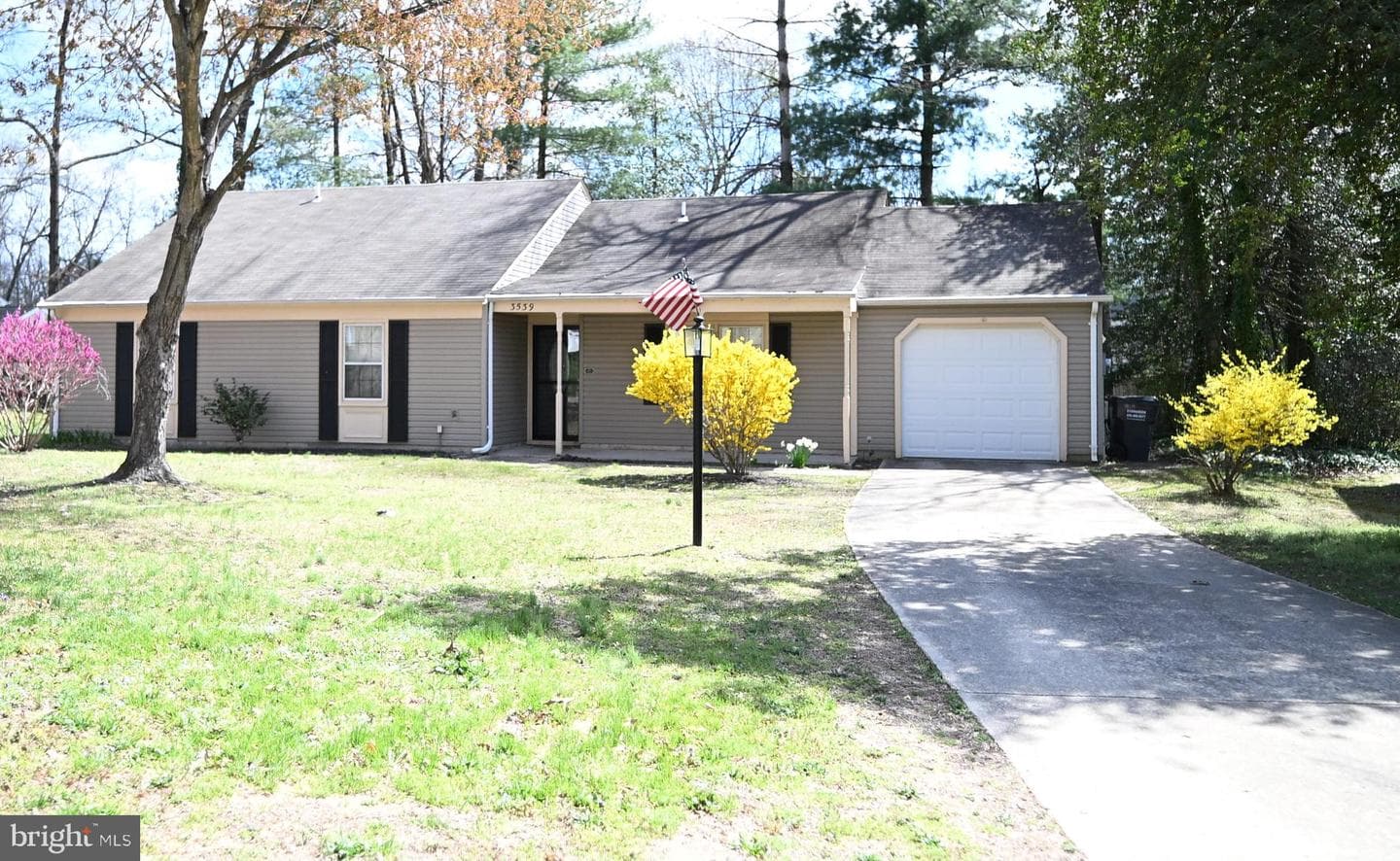 3539 Smokethorn Court photo 4