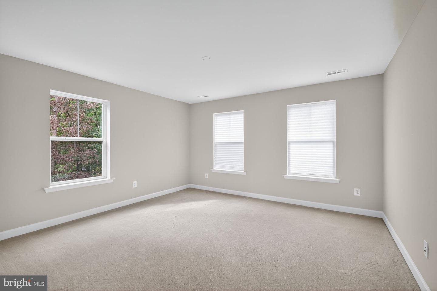 11124 Filberts Court photo 11