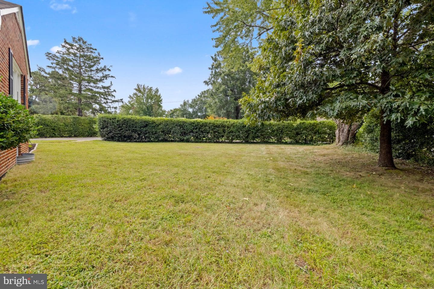310 Spruce Street photo 42
